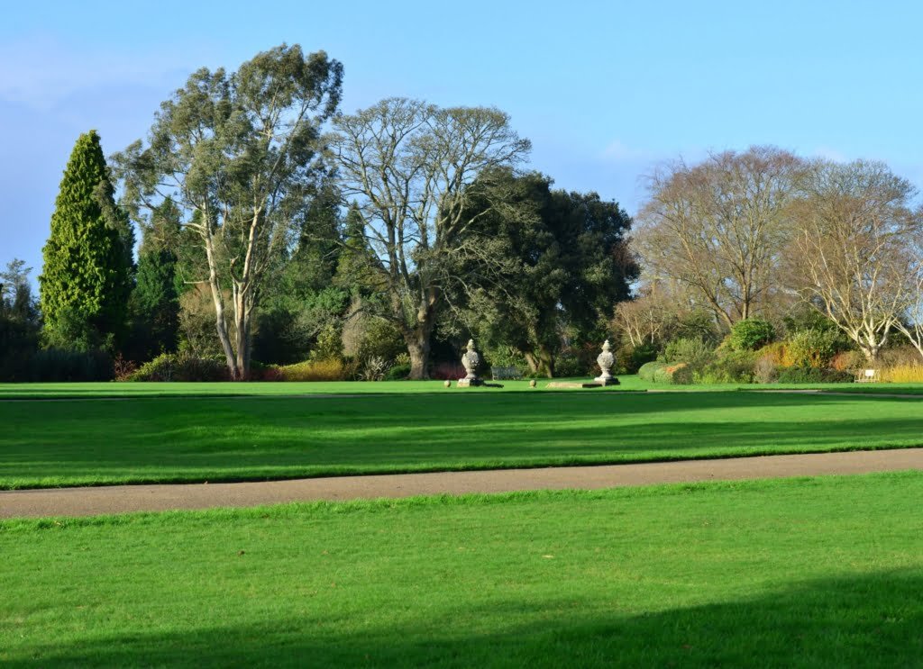 Investir em imóveis em Winter Garden